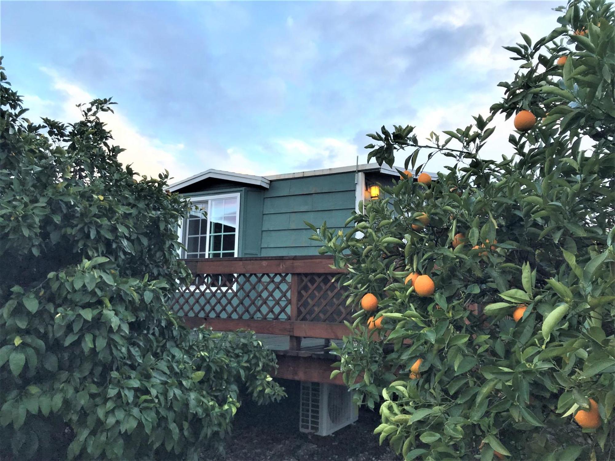 Casa Mayoral B&B Pet Friendly 장크트 고아르스하우젠 외부 사진
